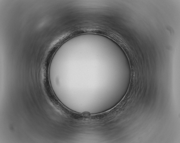 X0000113590732200909181331