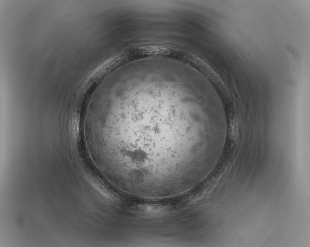 X0000113590733200909181331