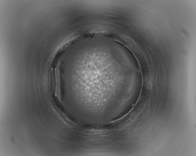 X0000113590735200909181331