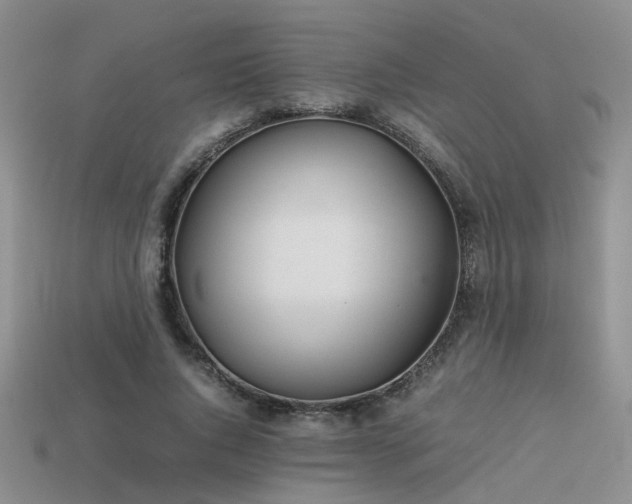 X0000113590736200909181331