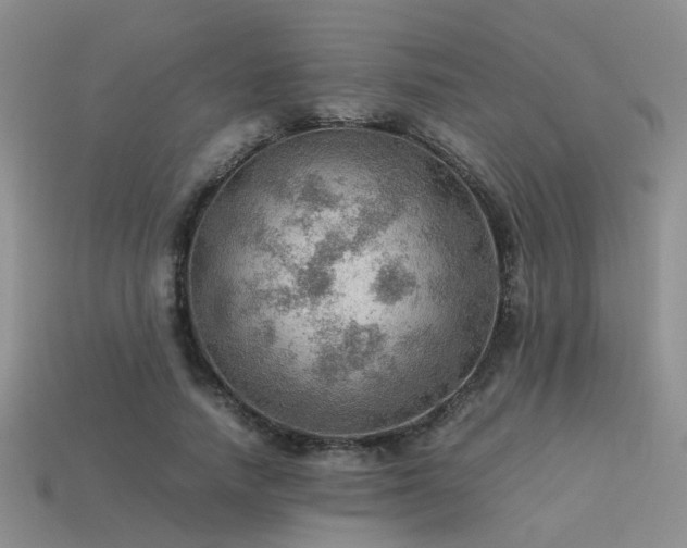 X0000113590738200909181331