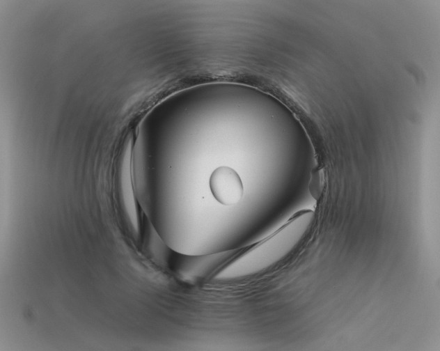 X0000113590740200909181331