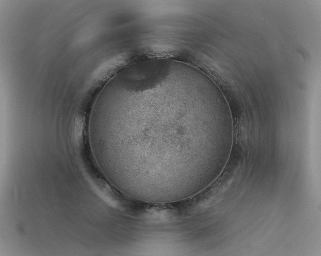 X0000113590742200909181331