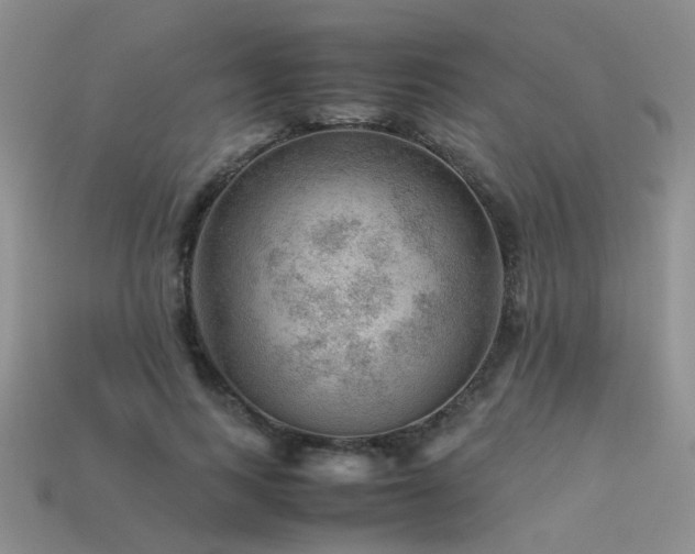 X0000113590743200909181331