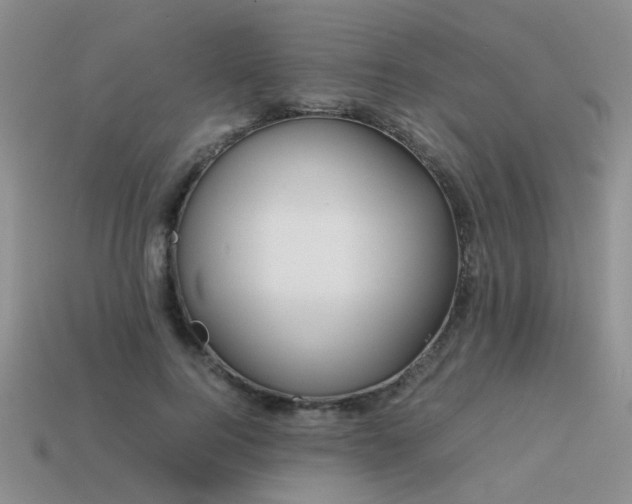 X0000113590744200909181331