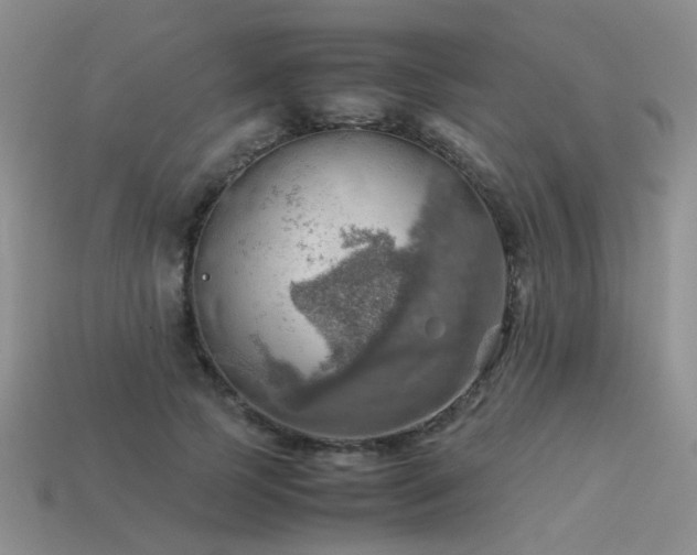 X0000113590745200909181331