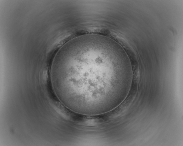 X0000113590746200909181331