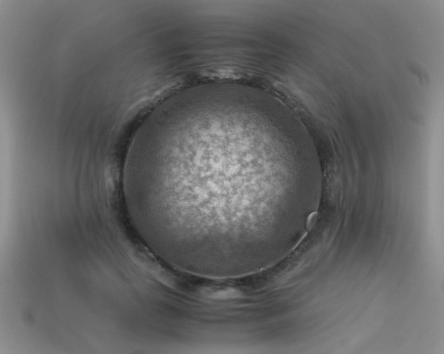 X0000113590747200909181331