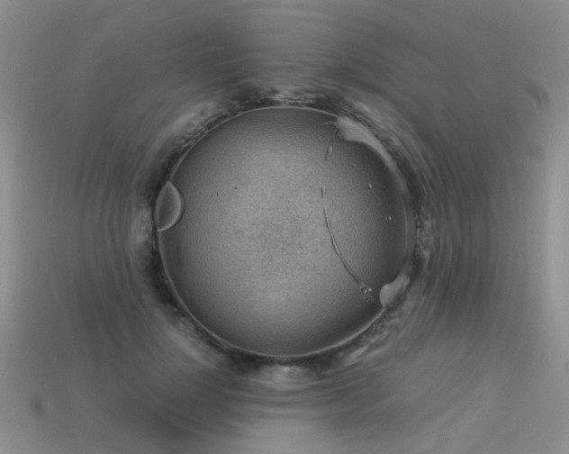 X0000113590748200909181331