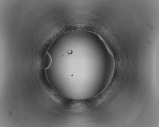 X0000113590750200909181331