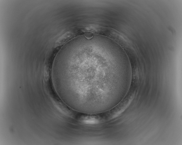 X0000113590751200909181331