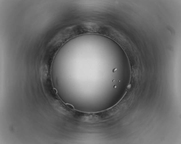 X0000113590752200909181331