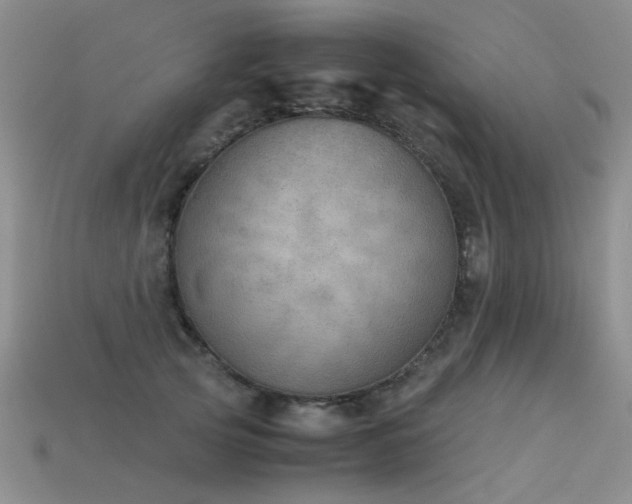 X0000113590753200909181331