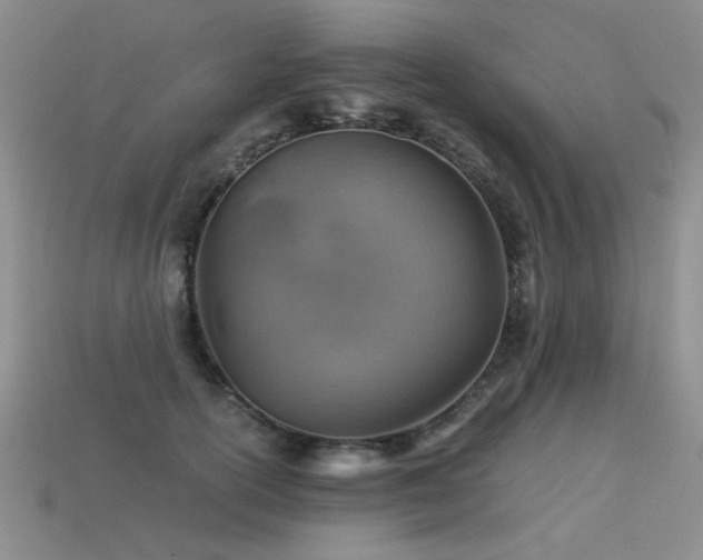 X0000113590754200909181331