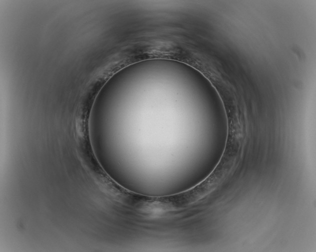 X0000113590755200909181331