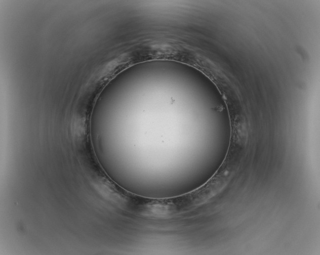 X0000113590756200909181331