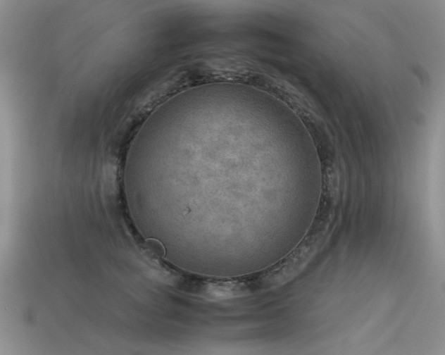 X0000113590757200909181331