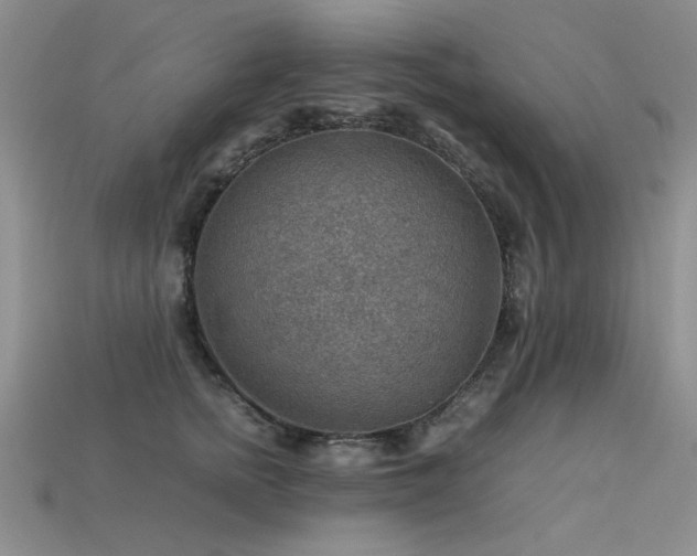 X0000113590758200909181331