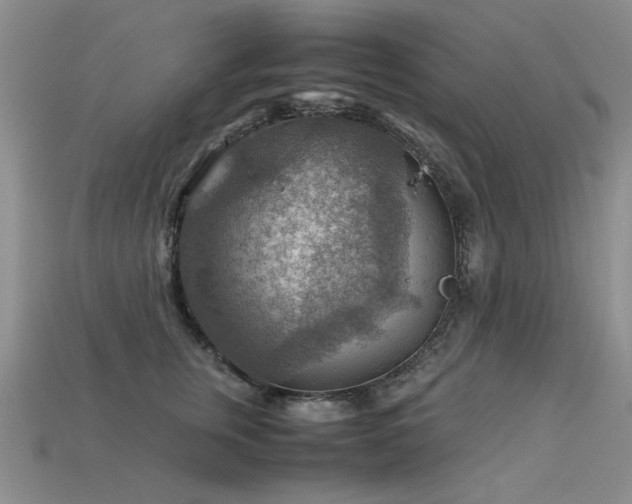 X0000113590759200909181331