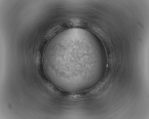 X0000113590760200909181331