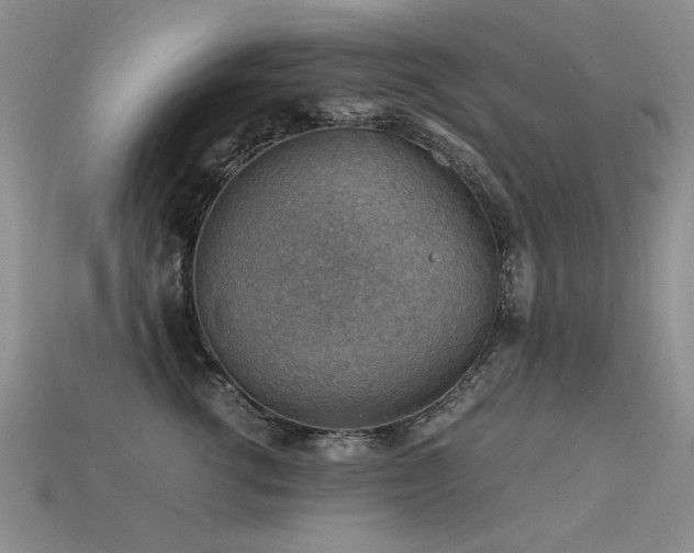 X0000113590762200909181331