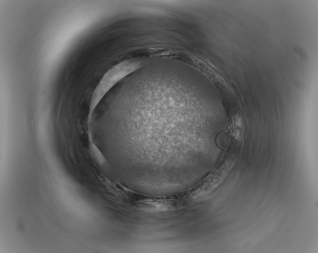 X0000113590763200909181332