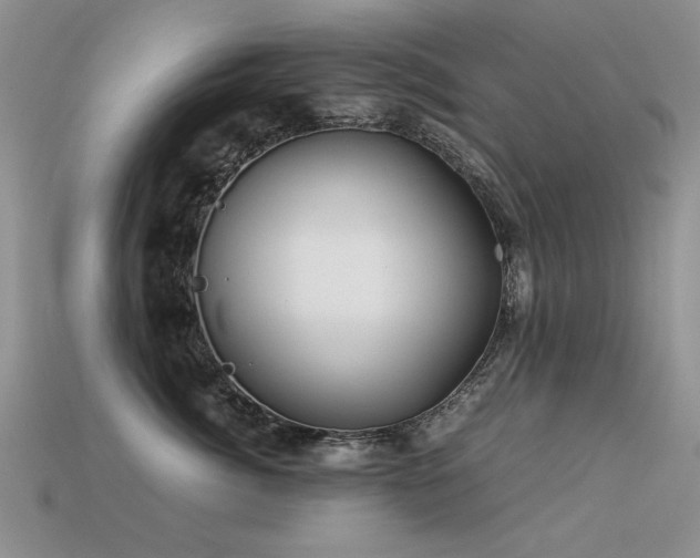 X0000113590764200909181332