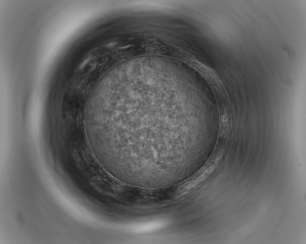 X0000113590765200909181332