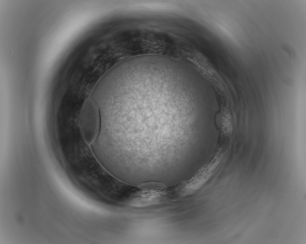 X0000113590766200909181332