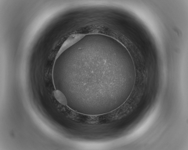 X0000113590767200909181332