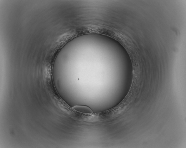 X0000113590768200909181332