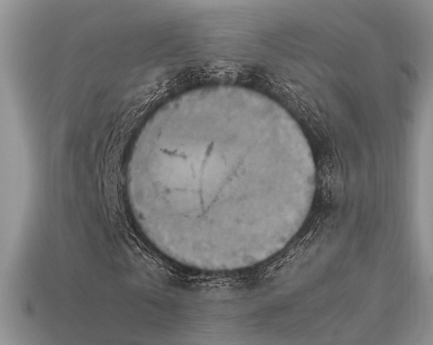 X0000113590769200909181331