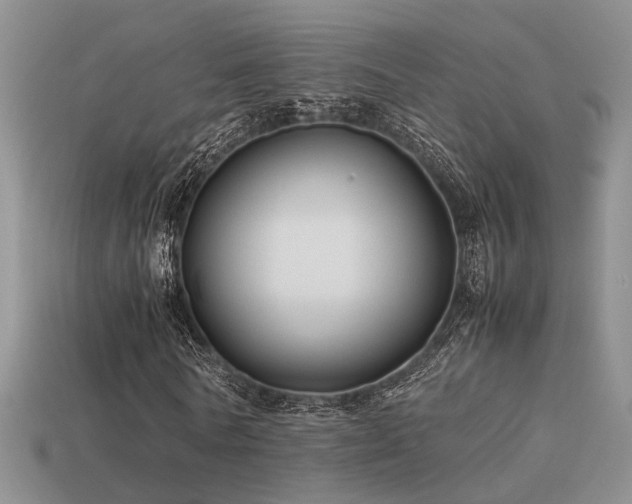 X0000113590770200909181331