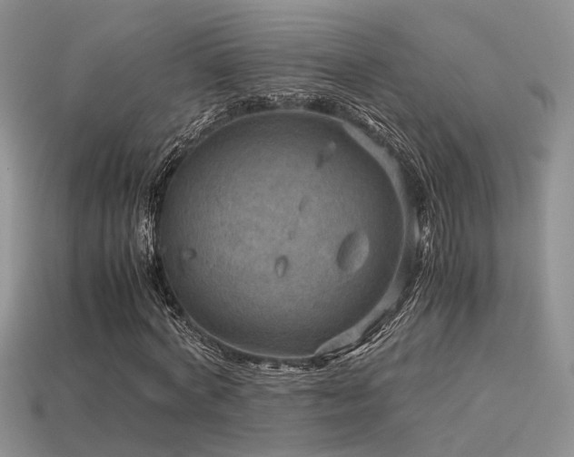 X0000113590772200909181331