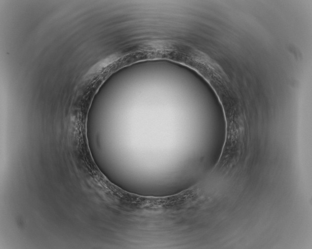 X0000113590773200909181331