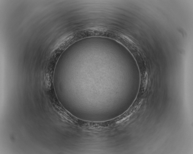 X0000113590774200909181331