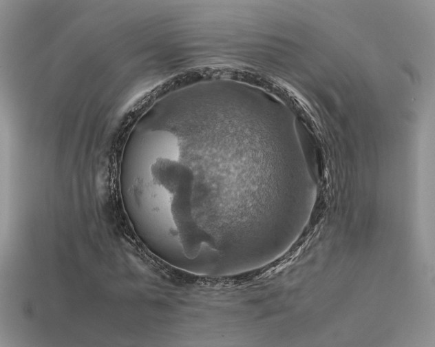 X0000113590775200909181331