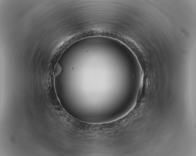 X0000113590776200909181331