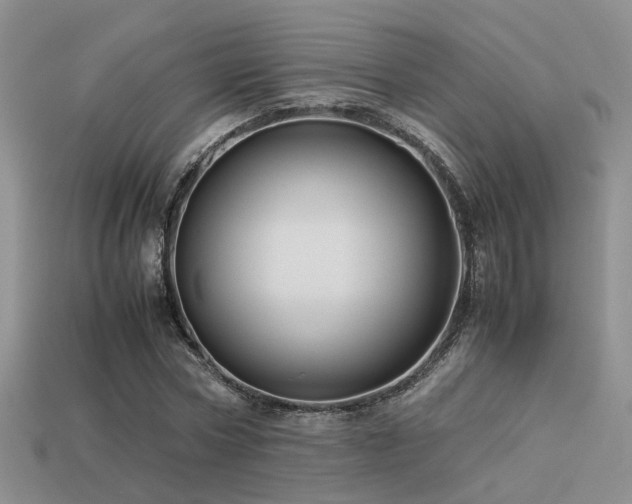 X0000113590778200909181331