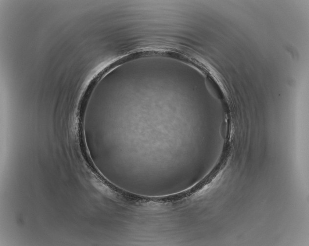 X0000113590779200909181331