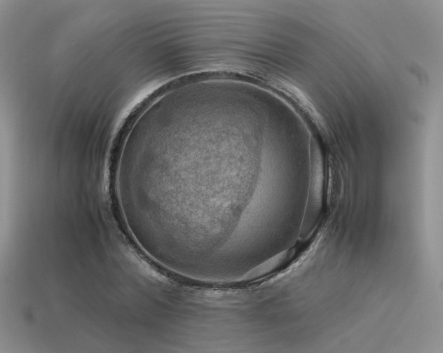 X0000113590780200909181331