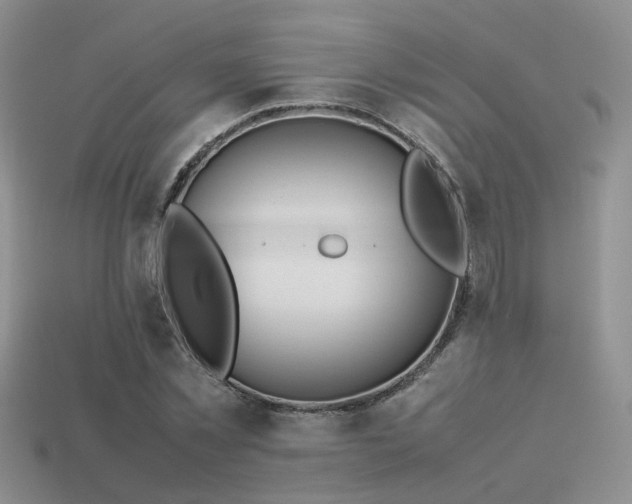 X0000113590781200909181331