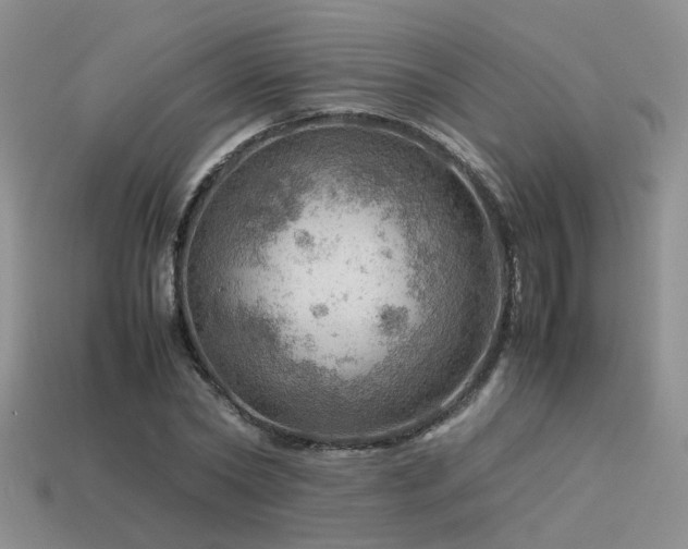 X0000113590782200909181331