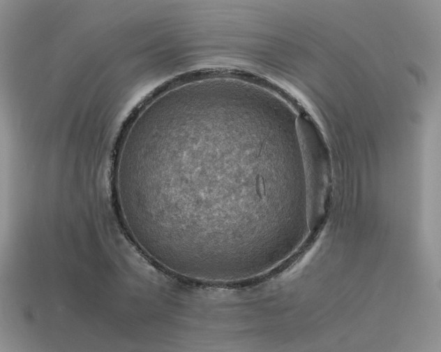 X0000113590783200909181331