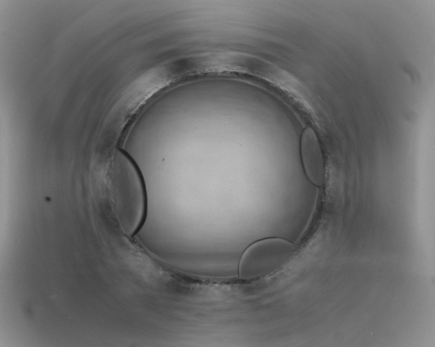 X0000113590785200909181331