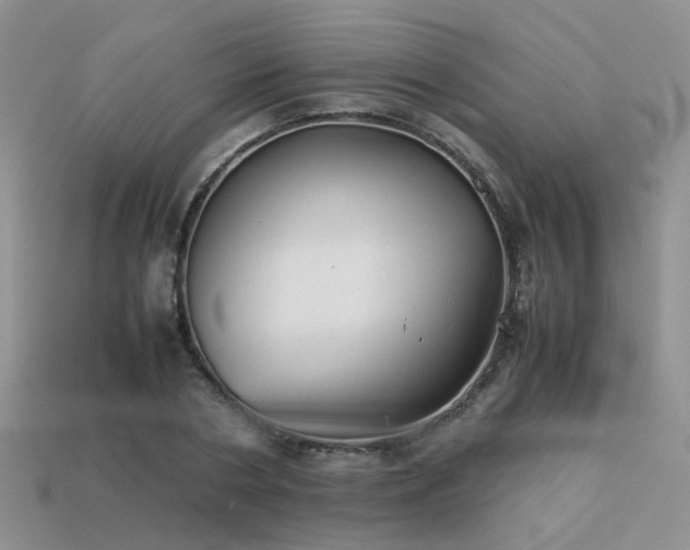 X0000113590786200909181331