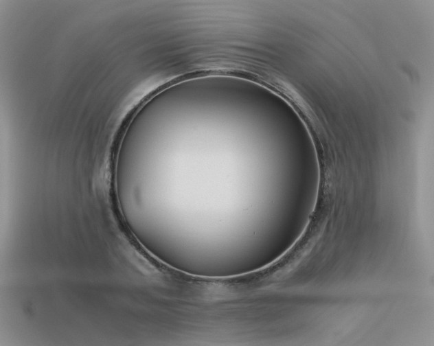 X0000113590787200909181331