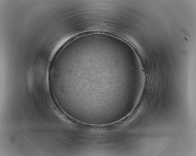 X0000113590788200909181331