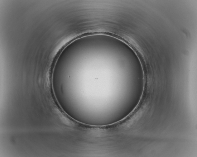 X0000113590789200909181331