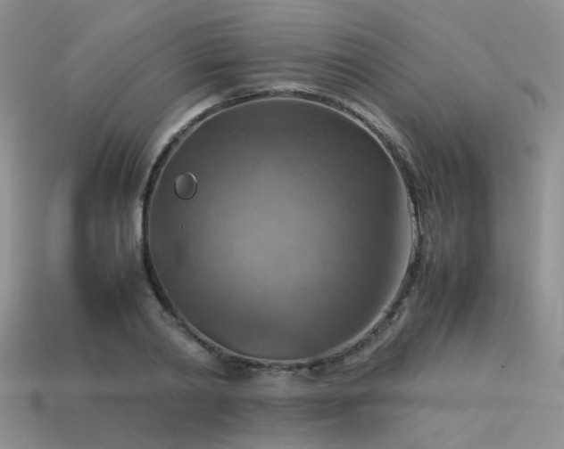 X0000113590790200909181331